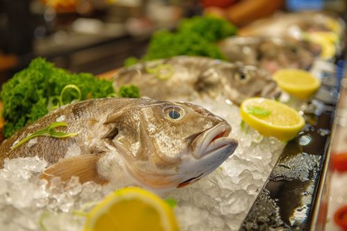 鳕鱼与海鲜批发 洞察与摄影的魅力