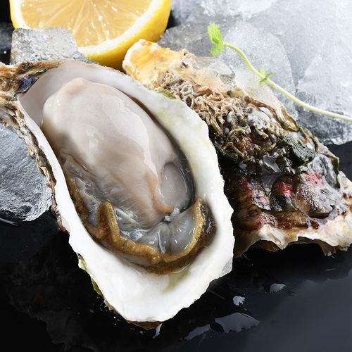 鲜蚝直供 从大海直达餐桌的生鲜盛宴