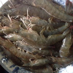 胡家庙海鲜副食批发市场 潜山县食品保健的采购新选择