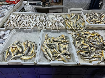 活鱼批发市场进货渠道全解析 海鲜批发商与餐饮经营者的实用指南