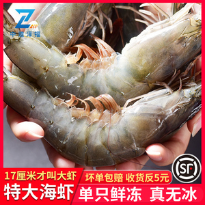 鲜海鲜图片大全 从源头到餐桌的海鲜批发指南