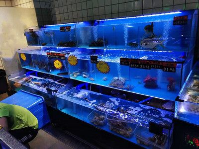 深圳超市海鲜池定做与海鲜批发一站式解决方案