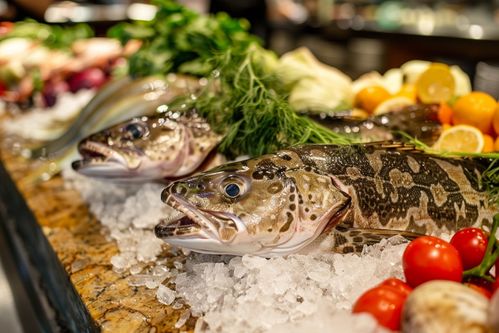 从深海到餐桌 探索海产鳕鱼批发市场的摄影之旅