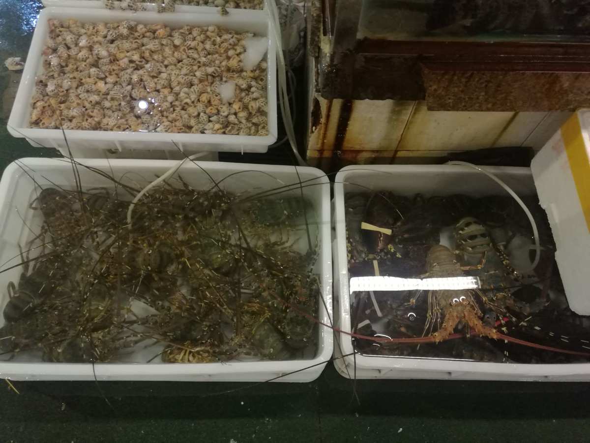 广东省湛江市海鲜批发市场价格解析 45元/斤背后的行业动态