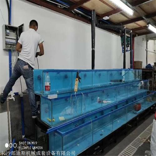 永州海鲜池定制 三层水产鱼缸设计图选海鲨水族工厂，助力海鲜批发高效运营