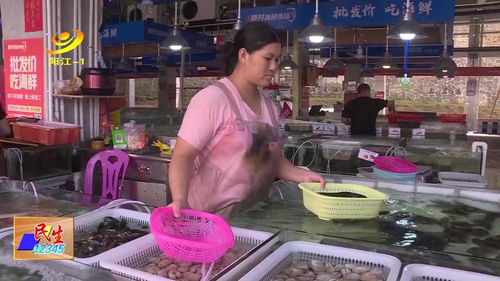 海陵岛首个农村海鲜批发市场建成，助力海鲜产业升级