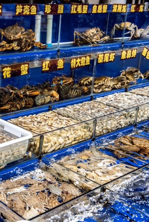 探访上海最大海鲜市场 海鲜批发价格究竟多便宜？