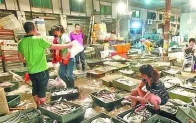 厦门的海鲜年历 教你如何应季吃海鲜，一网打尽海鲜批发秘籍